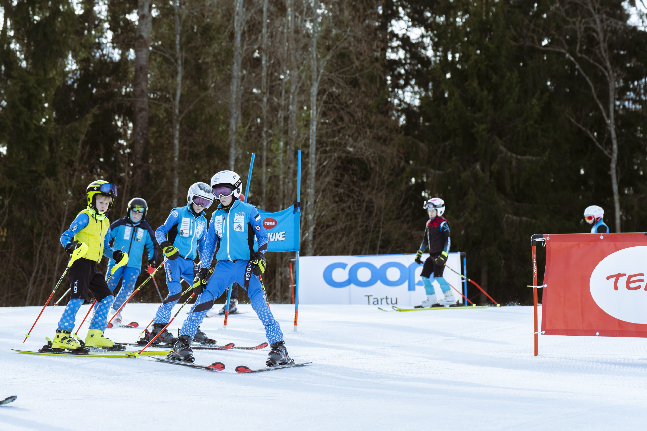 Mudilasslaalom rajavaatlus